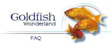 Goldfish Wonderland : FAQ