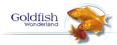 Goldfish Wonderland